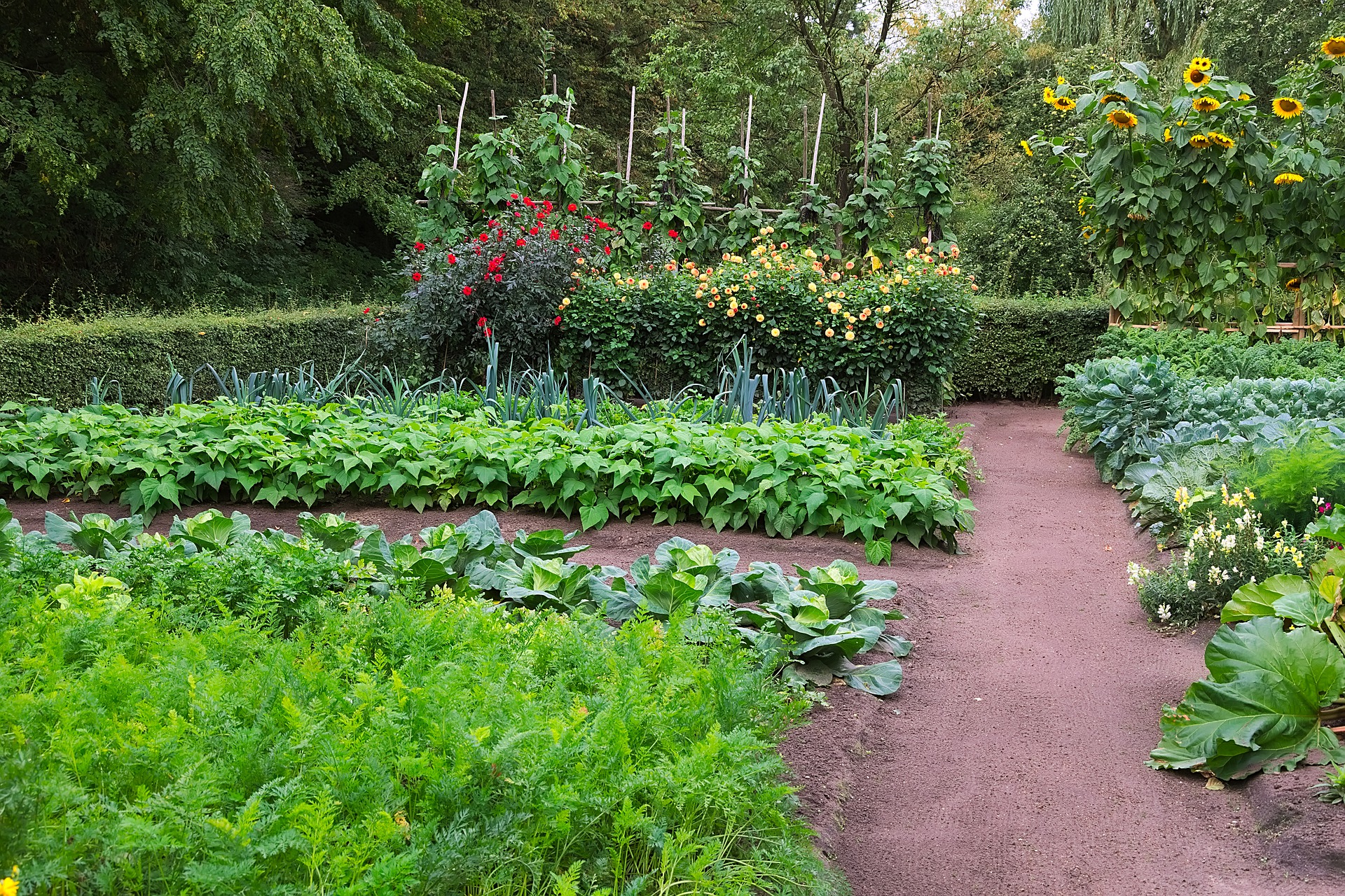 Большие сады овощей фото