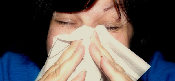 L'épidémie de grippe a déjà fait plus de 2 millions de victimes. © Flickr / Macfarlandmo.