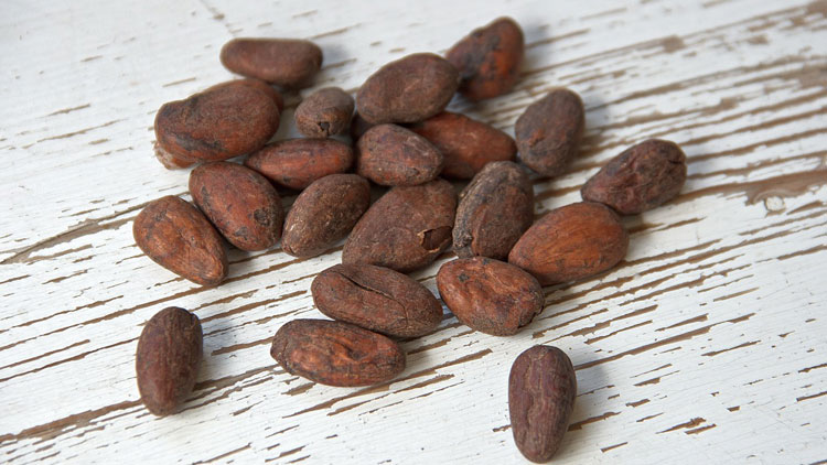 fèves de cacao