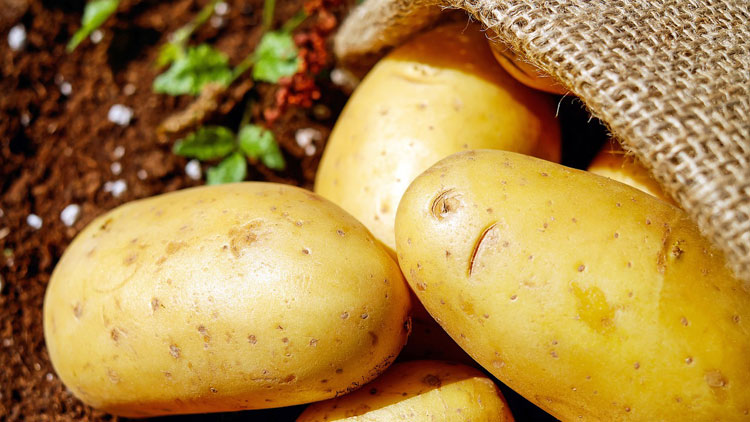 La Peau Des Pommes De Terre Est Elle Comestible Ca M Interesse