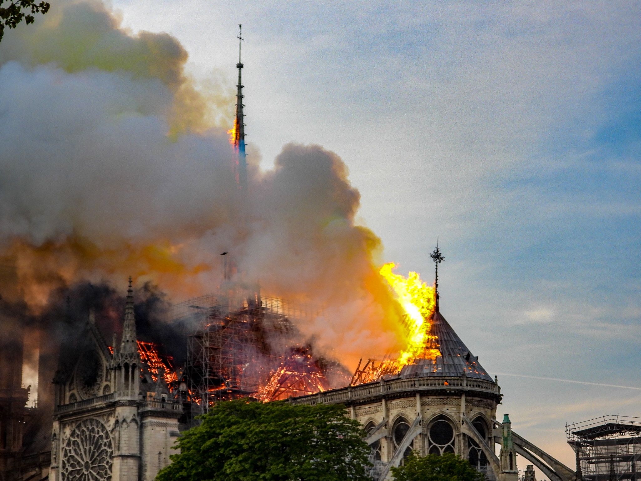 Cercueil En Plomb Notre Dame De Paris Du plomb retrouvé dans le miel suite à l'incendie de la cathédrale