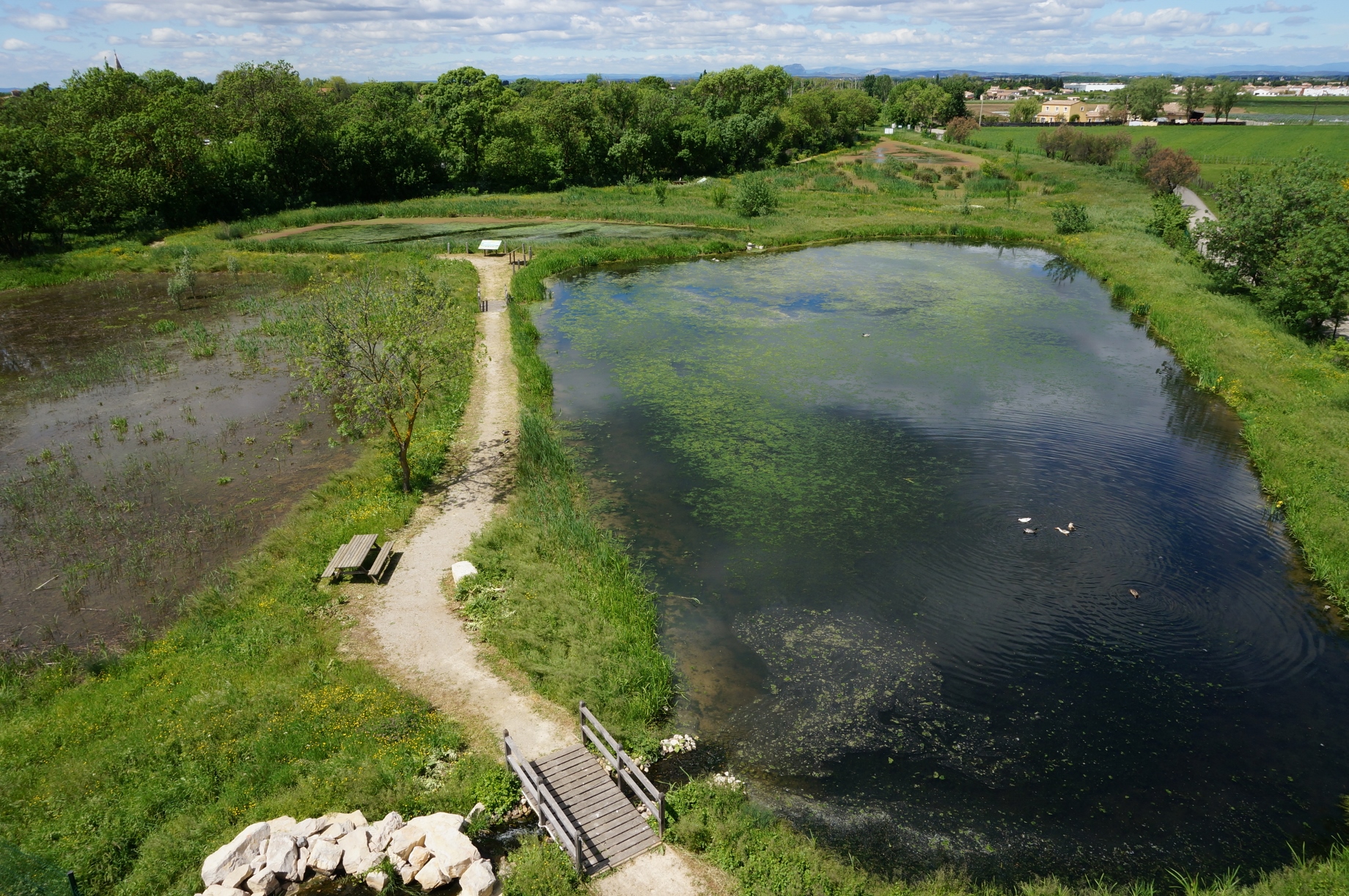 Voici comment la nature  purifie l   eau  a m int resse