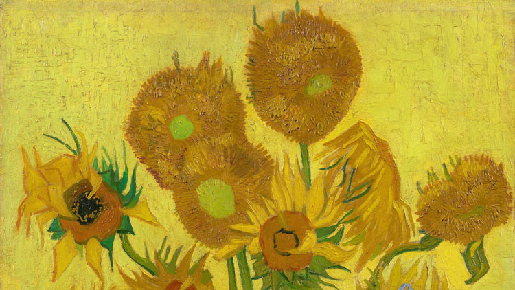 Les Tournesols Van Gogh Histoire Pourquoi les tournesols de Van Gogh perdent-ils leur éclat ? - Ça m